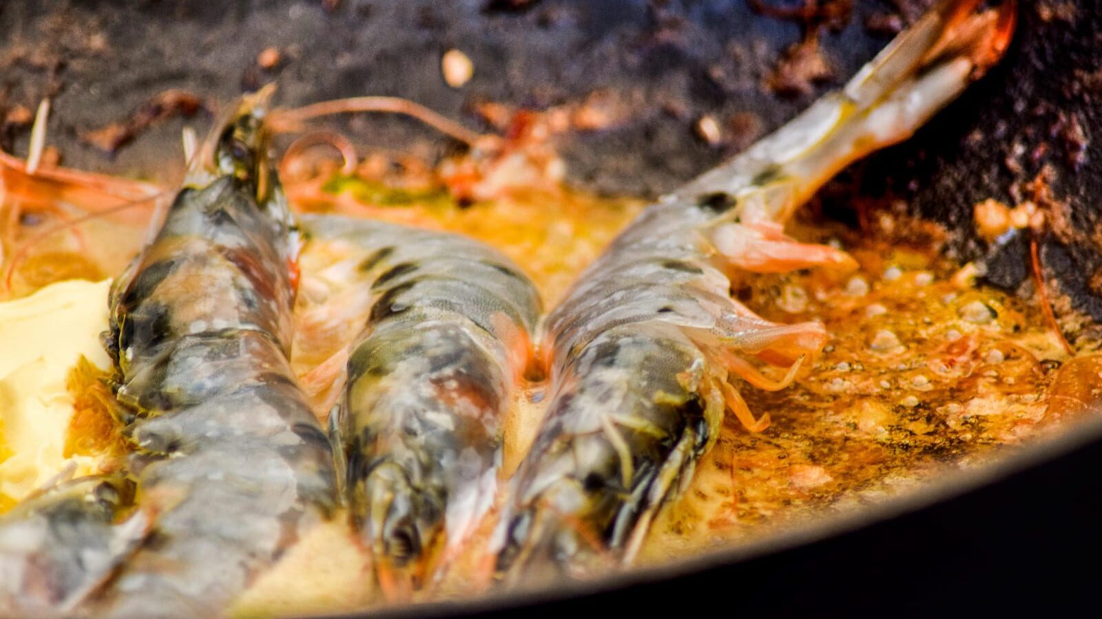 Close up of shrimps cooking.